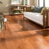 TimberCare Color Aqua Varnish Акриловый цветной лак на водной основе - банка 1л